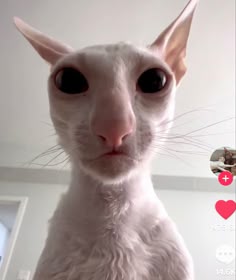 Innehåller en bild av: 